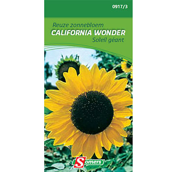 Promoties Somers zaad pakket reuze zonnebloem 'Californie wonder' - Somers - Geldig van 21/05/2021 tot 01/08/2023 bij Brico