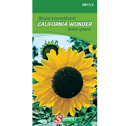 Somers zaad pakket reuze zonnebloem 'Californie wonder'