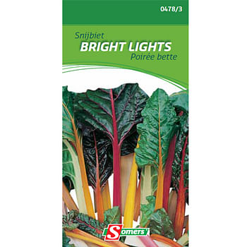 Promoties Somers zaad pakket snijbiet 'Bright lights' - Somers - Geldig van 21/05/2021 tot 01/08/2023 bij Brico