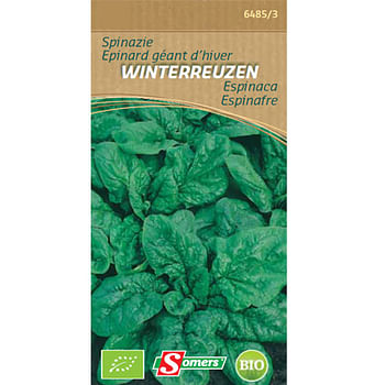 Promoties Somers zaad pakket spinazie 'Winterreuzen' - Somers - Geldig van 21/05/2021 tot 19/06/2023 bij Brico