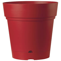 Deroma pot 'Samba' rood 58 x 58 cm