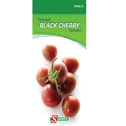 Sachet graines tomate Somers 'Black cherry'