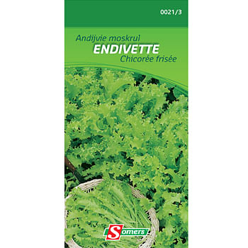 Promoties Somers zaad pakket andijvie moskrul 'Endivette' - Somers - Geldig van 22/05/2021 tot 01/08/2023 bij Brico