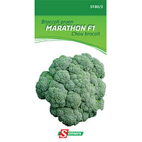 Somers zaad pakket broccoli groen 