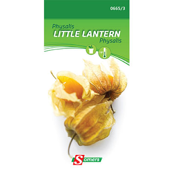 Promoties Somers zaad pakket physalis 'Little Lantern' - Somers - Geldig van 22/05/2021 tot 01/08/2023 bij Brico
