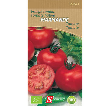Promoties Somers zaad pakket vroege tomaat 'Marmande' - Somers - Geldig van 22/05/2021 tot 01/08/2023 bij Brico