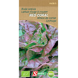 Sachet graines laitue rouge à couper Somers 'Red Coral'