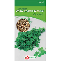 Somers zaad pakket koriander 'Coriandrum sativum'