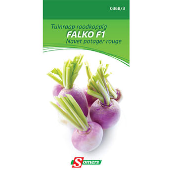 Promoties Somers zaad pakket tuinraap roodkoppig 'Falko F1' - Somers - Geldig van 24/05/2021 tot 13/03/2023 bij Brico