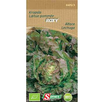 Promoties Somers zaad pakket kropsla 'Roxy' - Somers - Geldig van 25/05/2021 tot 13/03/2023 bij Brico