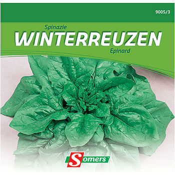 Promoties Somers zaad pakket spinazie 'Winterreuzen' - Somers - Geldig van 26/05/2021 tot 01/08/2023 bij Brico