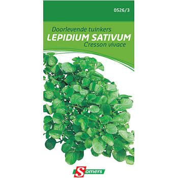 Promoties Somers doorlevende tuinkers 'Lepidium sativum' - Somers - Geldig van 27/05/2021 tot 01/08/2023 bij Brico