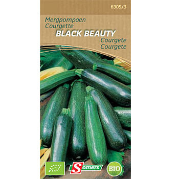 Promoties Somers zaad pakket mergpompoen 'Black beauty' - Somers - Geldig van 28/05/2021 tot 01/08/2023 bij Brico