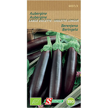Promoties Somers zaad pakket aubergine lange violette - Somers - Geldig van 30/05/2021 tot 13/03/2023 bij Brico