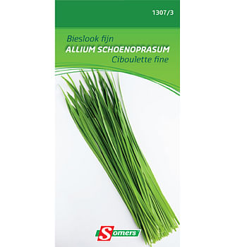 Promoties Somers zaad pakket bieslook fijn 'Allium Schoenoprasum' - Somers - Geldig van 30/05/2021 tot 01/08/2023 bij Brico