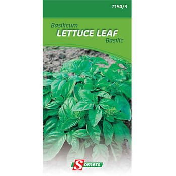 Promotions Somers zaad pakket basilicum 'Lettuce leaf' - Somers - Valide de 01/06/2021 à 13/03/2023 chez Brico