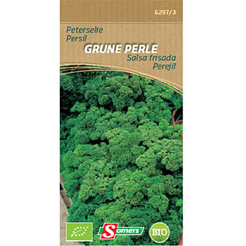 Promoties Somers zaad pakket peterselie 'Grune perle' - Somers - Geldig van 02/06/2021 tot 01/08/2023 bij Brico