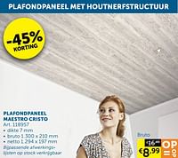 Plafondpaneel maestro cristo-Huismerk - Zelfbouwmarkt