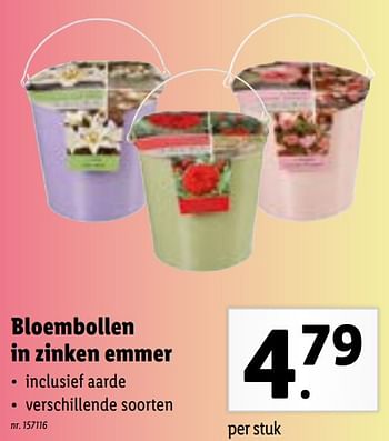 Promoties Bloembollen in zinken emmer - Huismerk - Lidl - Geldig van 07/03/2022 tot 12/03/2022 bij Lidl