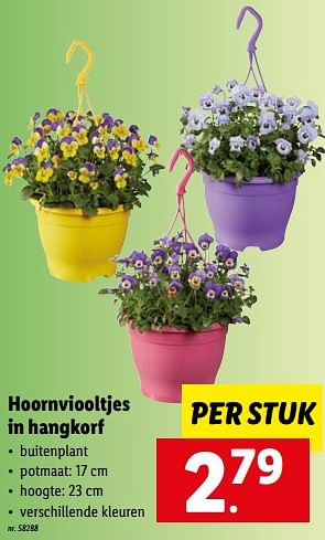 Promoties Hoornviooltjes in hangkorf - Huismerk - Lidl - Geldig van 14/03/2022 tot 20/03/2022 bij Lidl