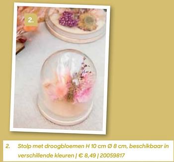 Promoties Stolp met droogbloemen - Huismerk - Ava - Geldig van 04/03/2022 tot 31/07/2022 bij Ava