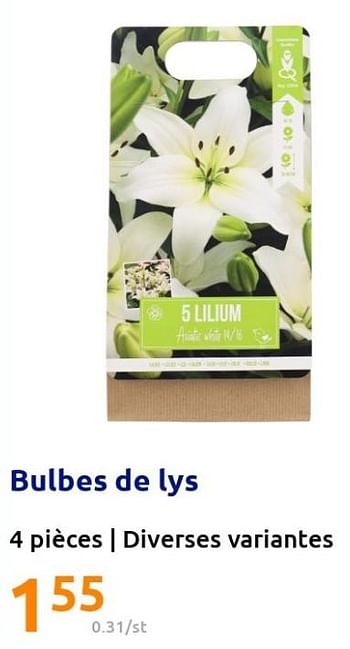 Promotions Bulbes de lys - Produit Maison - Action - Valide de 09/03/2022 à 15/03/2022 chez Action