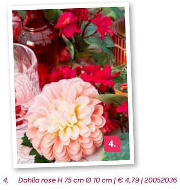 Promotions Dahlia rose - Produit Maison - Ava - Valide de 04/03/2022 à 31/07/2022 chez Ava