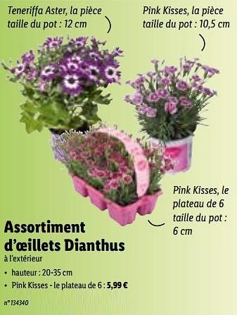 Promotions D’oeillets dianthus pink kisses - Produit maison - Lidl - Valide de 21/03/2022 à 26/03/2022 chez Lidl