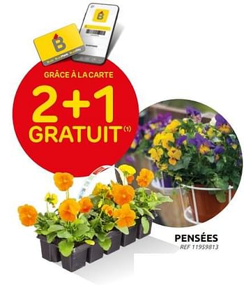 Promotions Pensées 2+1 gratuit - Produit maison - Brico - Valide de 16/03/2022 à 28/03/2022 chez Brico