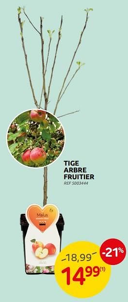 Promotions Tige arbre fruitier - Produit maison - Brico - Valide de 16/03/2022 à 28/03/2022 chez Brico