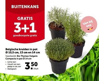 Promoties Bio thymus vulgaris compacta in pot - Huismerk - Aveve - Geldig van 30/03/2022 tot 09/04/2022 bij Aveve