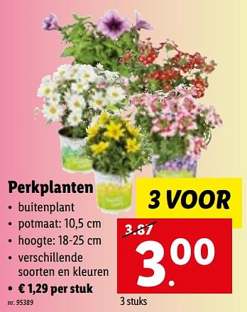 Promoties Perkplanten - Huismerk - Lidl - Geldig van 04/04/2022 tot 10/04/2022 bij Lidl