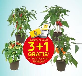 Promoties 3+1 gratis op de groenten pick+joy - Pick & Joy - Geldig van 30/03/2022 tot 11/04/2022 bij Brico
