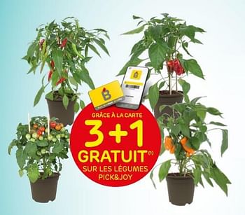 Promotions 3+1 gratuit sur les légumes pick+joy - Pick & Joy - Valide de 30/03/2022 à 11/04/2022 chez Brico
