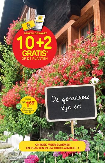 Promoties De geraniums zijn er - Huismerk - Brico - Geldig van 13/04/2022 tot 25/04/2022 bij Brico
