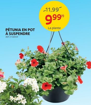Promotions Pétunia en pot à suspendre - Produit maison - Brico - Valide de 13/04/2022 à 25/04/2022 chez Brico