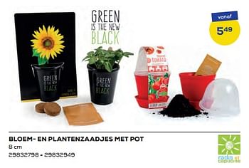 Promoties Bloem- en plantenzaadjes met pot - Huismerk - Supra Bazar - Geldig van 15/04/2022 tot 20/05/2022 bij Supra Bazar