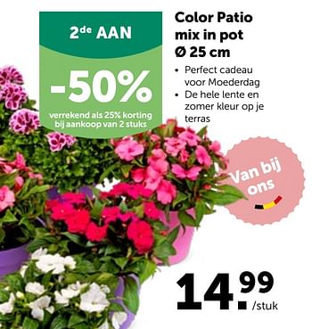 Promoties Color patio mix in pot - Huismerk - Aveve - Geldig van 27/04/2022 tot 07/05/2022 bij Aveve