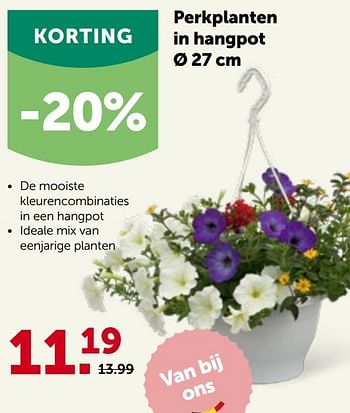 Promoties Perkplanten in hangpot - Huismerk - Aveve - Geldig van 27/04/2022 tot 07/05/2022 bij Aveve