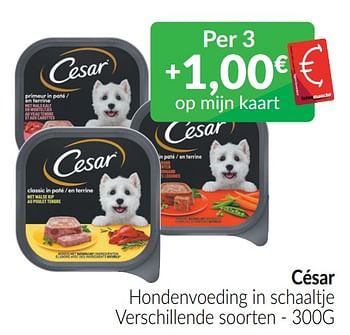 Promoties César hondenvoeding in schaaltje - Cesar - Geldig van 01/05/2022 tot 31/05/2022 bij Intermarche