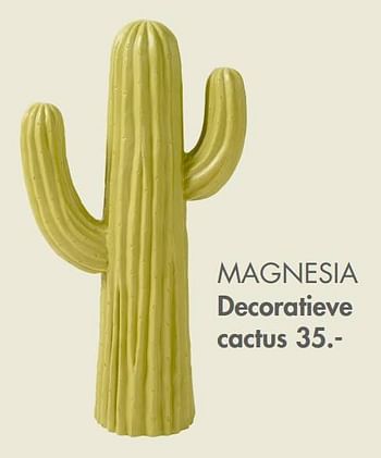 Promotions Magnesia decoratieve cactus - Produit maison - Casa - Valide de 09/05/2022 à 19/06/2022 chez Casa