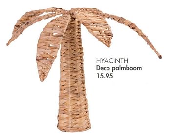 Promoties Hyacinth deco palmboom - Huismerk - Casa - Geldig van 09/05/2022 tot 19/06/2022 bij Casa