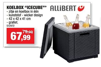 Promotions Koelbox icecube - Allibert - Valide de 11/05/2022 à 22/05/2022 chez Hubo
