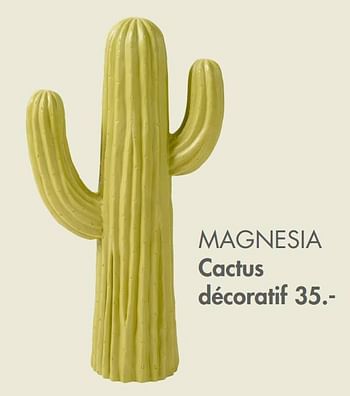 Promotions Magnesia cactus décoratif - Produit maison - Casa - Valide de 09/05/2022 à 19/06/2022 chez Casa