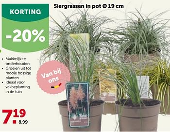 Promoties Siergrassen in pot - Huismerk - Aveve - Geldig van 16/05/2022 tot 28/05/2022 bij Aveve