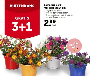 Promoties Zomerbloeiers mix in pot - Huismerk - Aveve - Geldig van 16/05/2022 tot 28/05/2022 bij Aveve