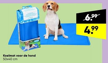 Landelijk Thuisland Ten einde raad Huismerk - Big Bazar Koelmat voor de hond - Promotie bij Big Bazar