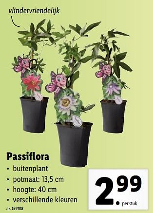 Promoties Passiflora - Huismerk - Lidl - Geldig van 20/06/2022 tot 25/06/2022 bij Lidl