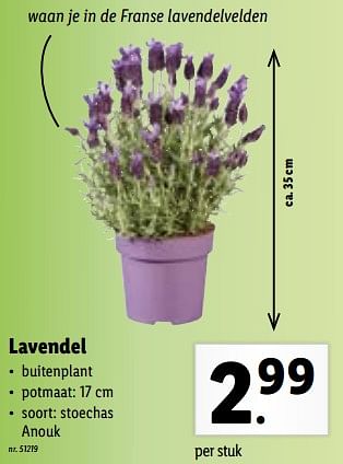 Promoties Lavendel - Huismerk - Lidl - Geldig van 27/06/2022 tot 03/07/2022 bij Lidl