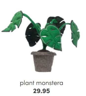 Promoties Plant monstera - Huismerk - Baby & Tiener Megastore - Geldig van 03/07/2022 tot 16/07/2022 bij Baby & Tiener Megastore